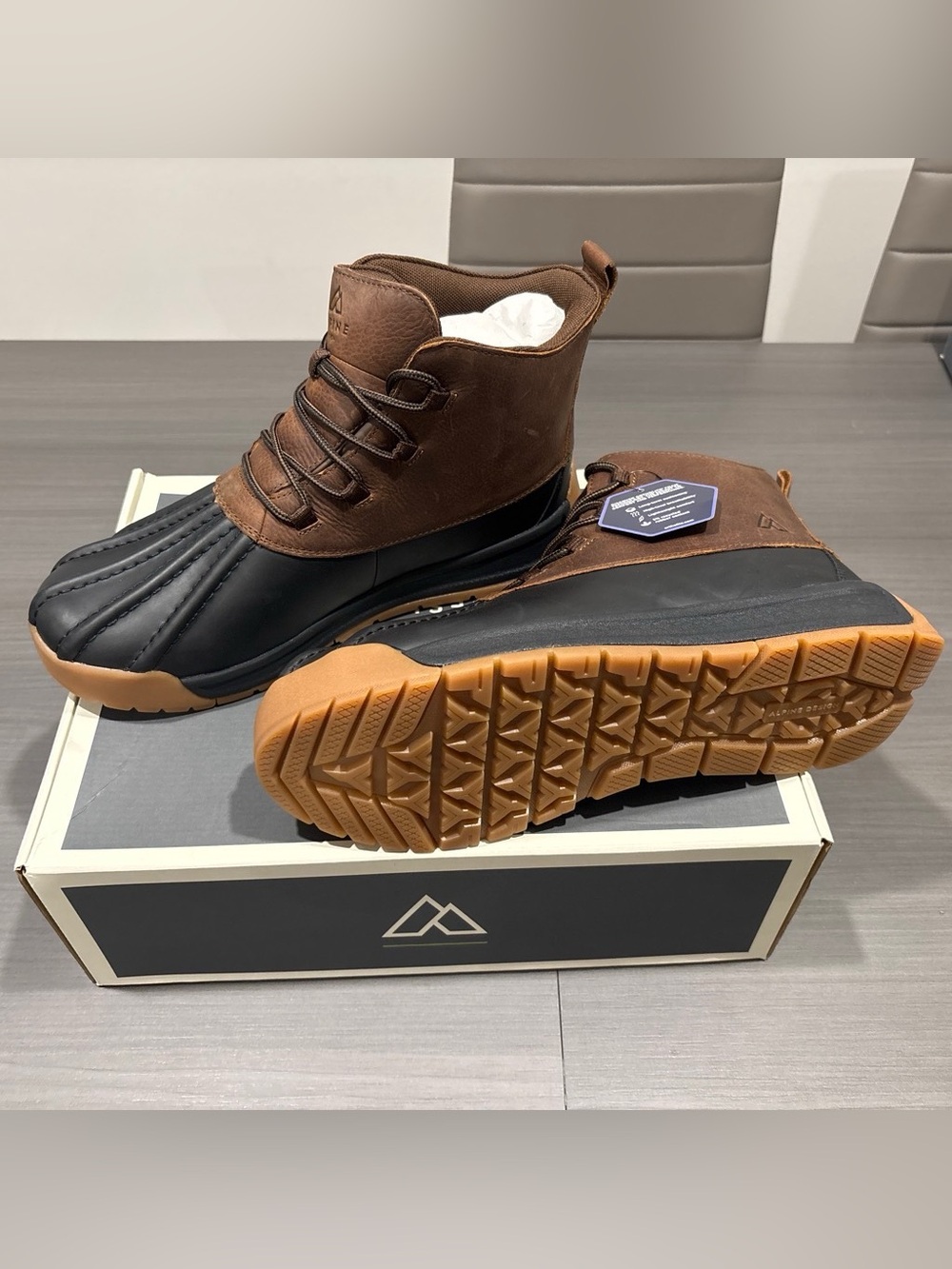 Alpine Mens shoes